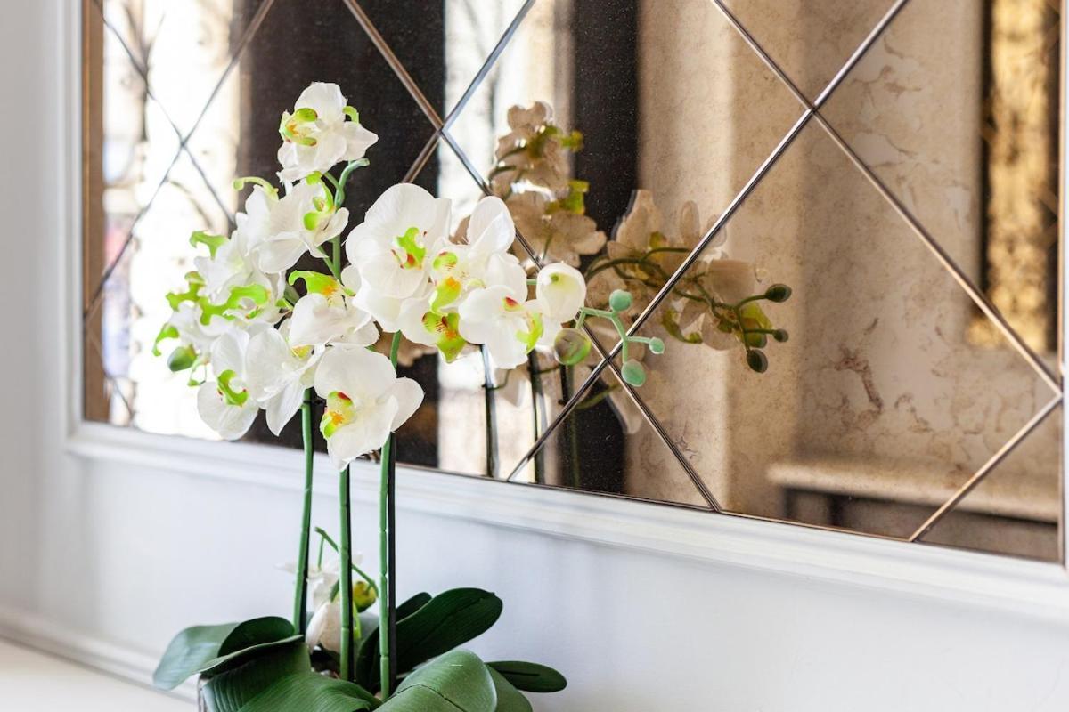 Cosy In The Heart Of Paddington Apartment